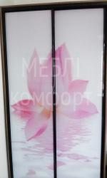 Шкафы купе с фотопечатью
_фото_8