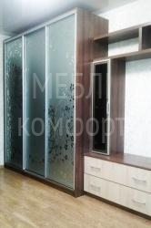 Шкафы купе с пескоструйным рисунком_фото_4