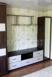 Стенки в гостиную_фото_6